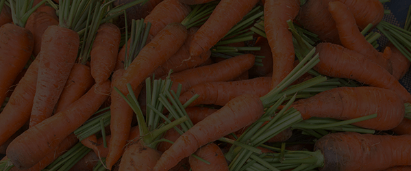 Vision Health-Carrot Juice Powder